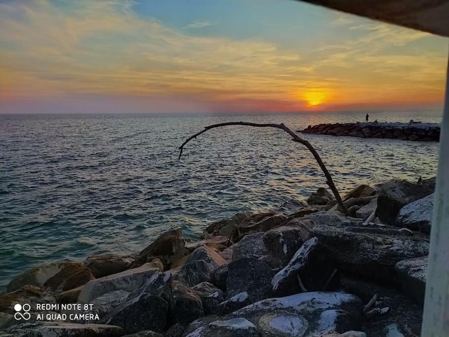 Casa Vacanze Marina Di Pisa Catola Екстер'єр фото
